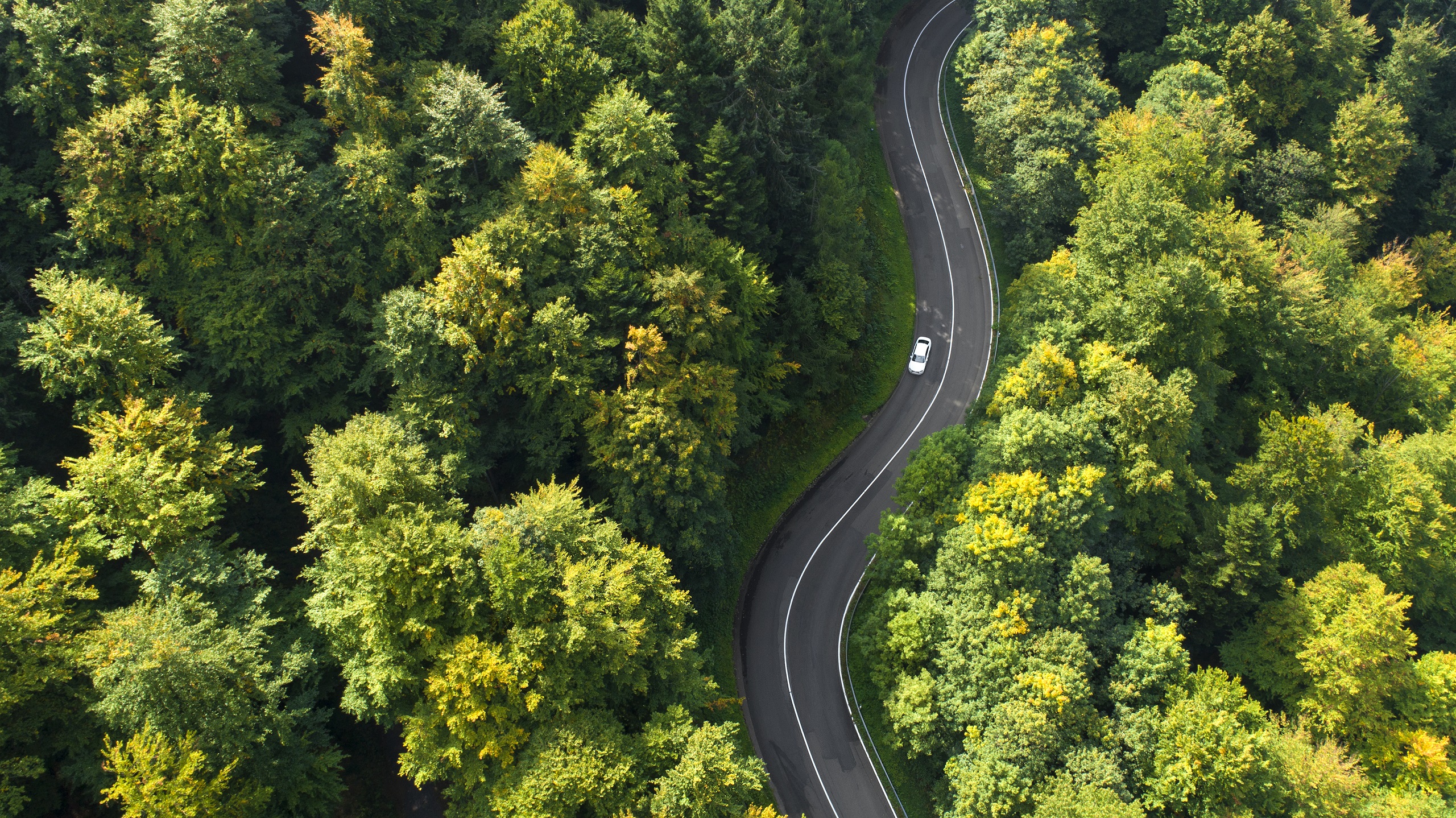 In the picture, we see a white car driving on a winding road through a dense forest as viewed from above.